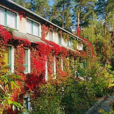 Pension Zur Fledermaus Waren  Eksteriør bilde